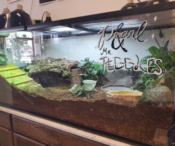 The Serpentarium