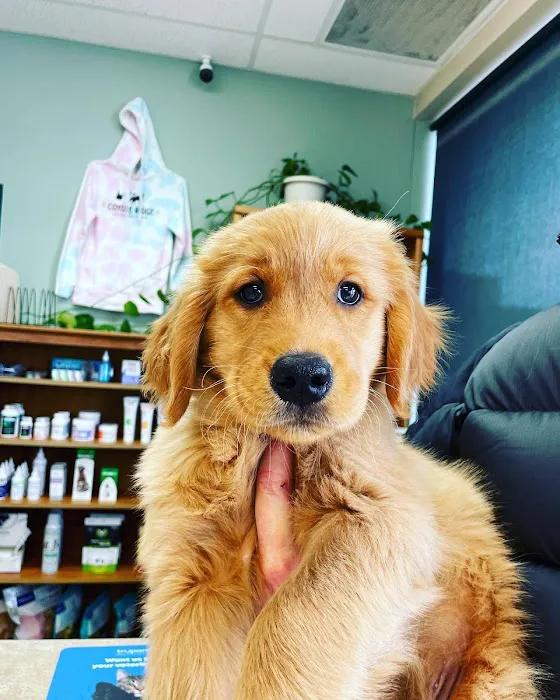 Coyote Ridge Veterinary Clinic 12