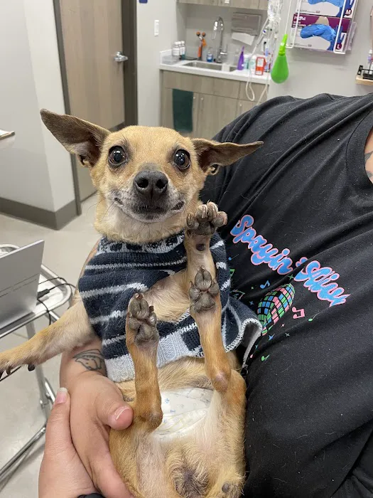 Coyote Ridge Veterinary Clinic 12