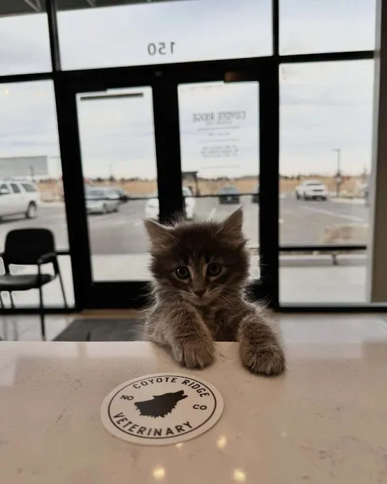 Coyote Ridge Veterinary Clinic 12