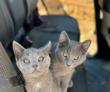 Coyote Ridge Veterinary Clinic
