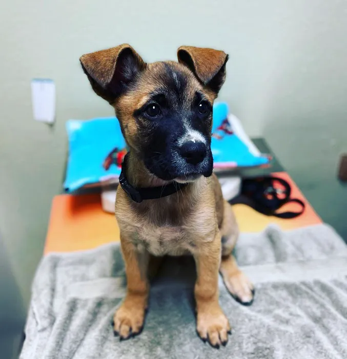 Coyote Ridge Veterinary Clinic 12