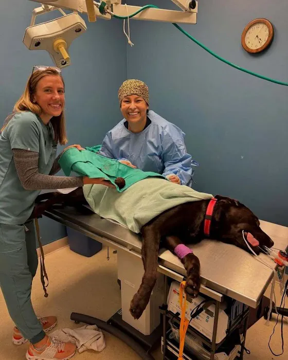 Coyote Ridge Veterinary Clinic 12