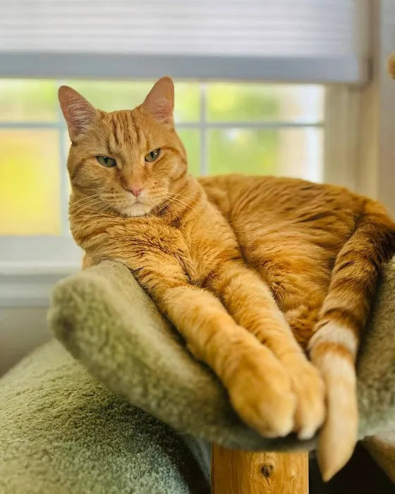 Coyote Ridge Veterinary Clinic 12