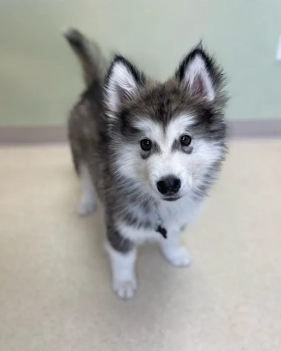 Coyote Ridge Veterinary Clinic 12
