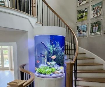 Fish Gallery Boutique | Aquarium Superstore