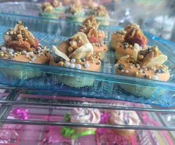 JeTT Pets Club for Dogs - Plano