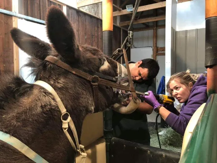 Living Springs Veterinary Care and Pet Boarding 12