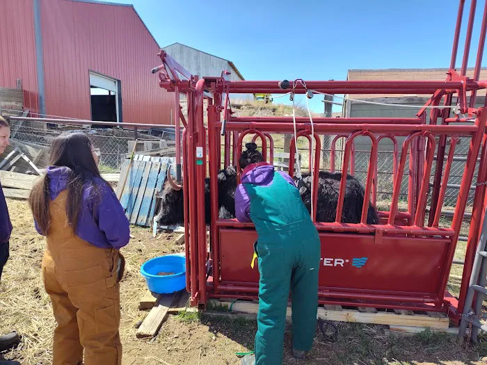 Living Springs Veterinary Care and Pet Boarding 12