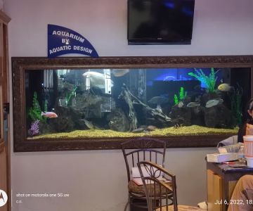 Aquatic Design Aquariums