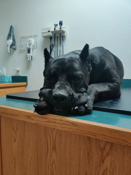 Strasburg Veterinary Clinic 12