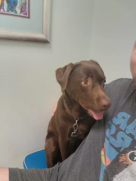 Northgate Animal Hospital 12
