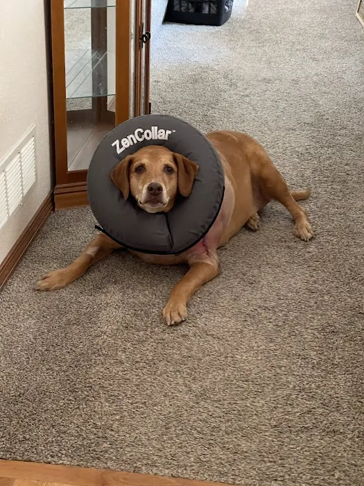 Northgate Animal Hospital 12