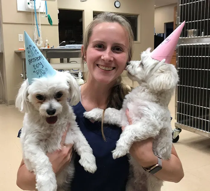 Timberview Animal Hospital 12