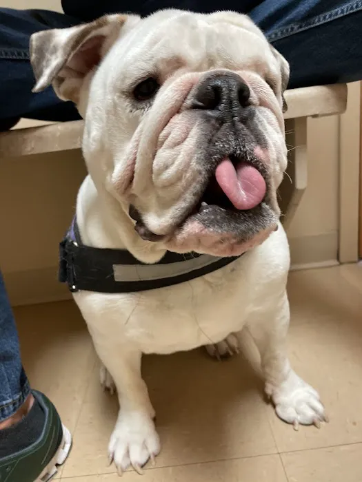 Timberview Animal Hospital 12