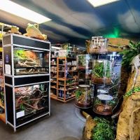 DFW Reptarium ico