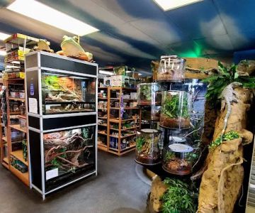 DFW Reptarium