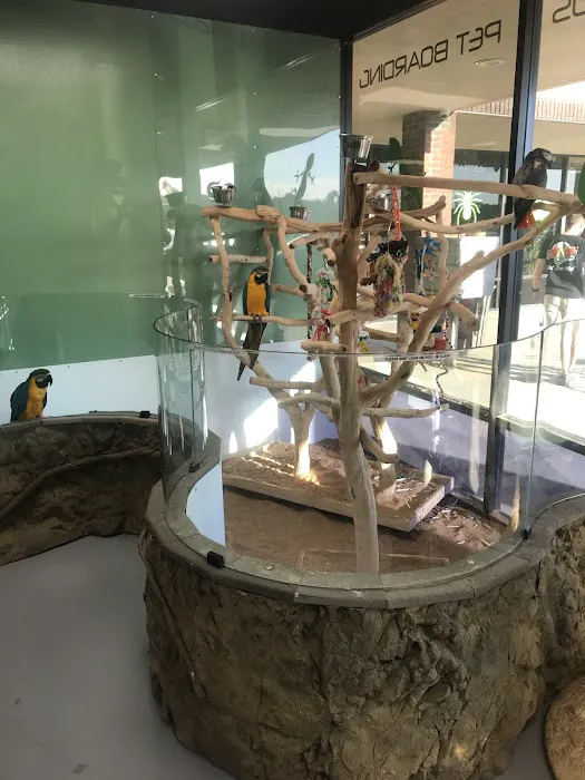 DFW Reptarium 6