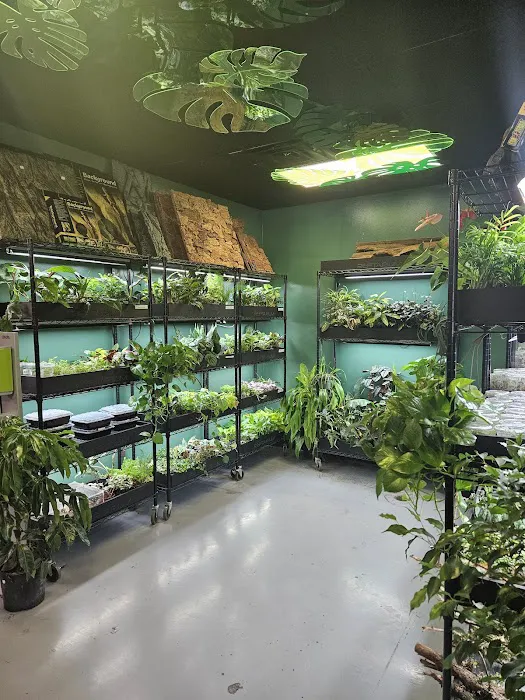 DFW Reptarium 10
