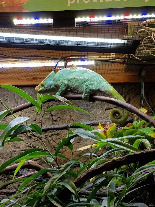 DFW Reptarium 9