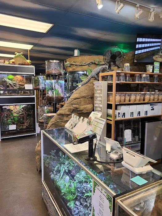 DFW Reptarium 8