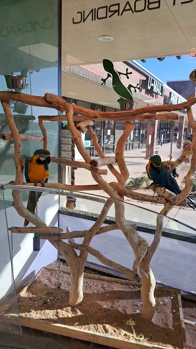 DFW Reptarium 7