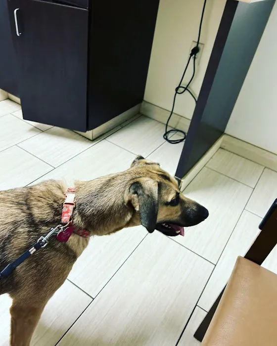 VCA Smoketown Animal Hospital 12