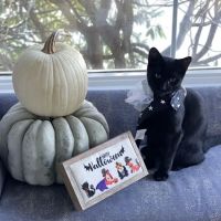 Quarryville Veterinary Center ico