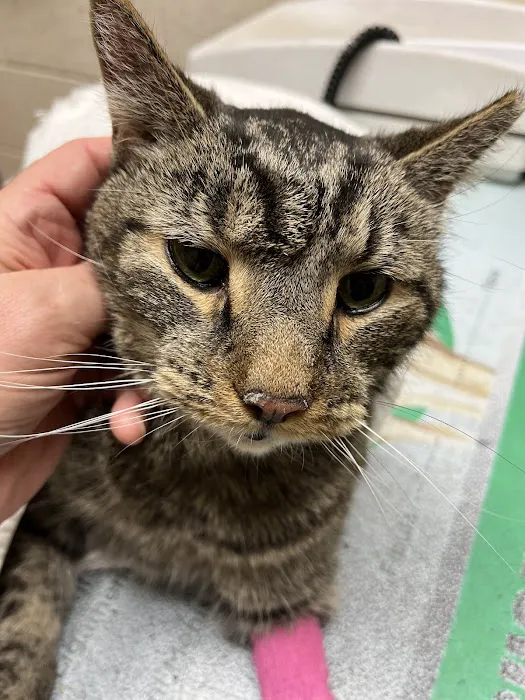 Conestoga Animal Hospital Inc. 12