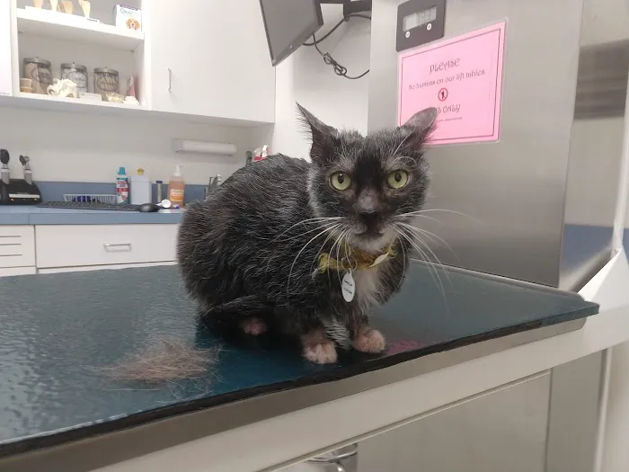 Adamstown Veterinary Hospital 12
