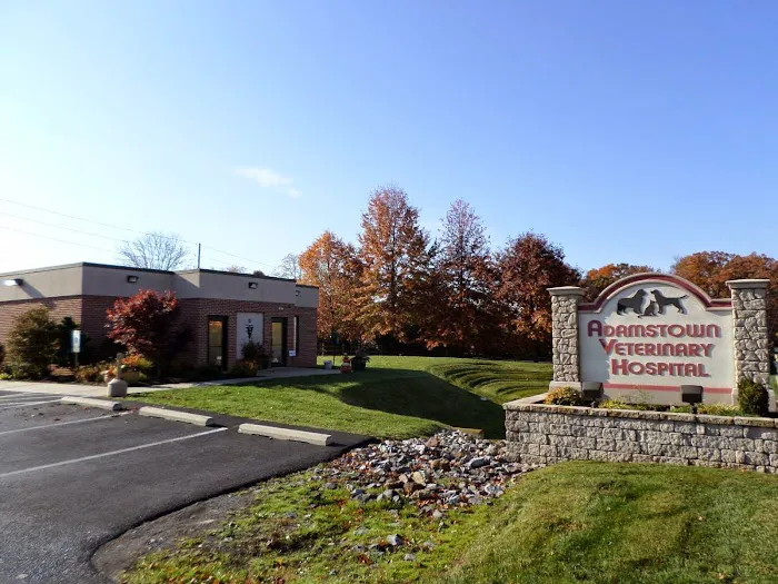 Adamstown Veterinary Hospital 12