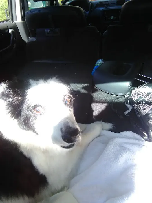 Ark Animal Hospital 12