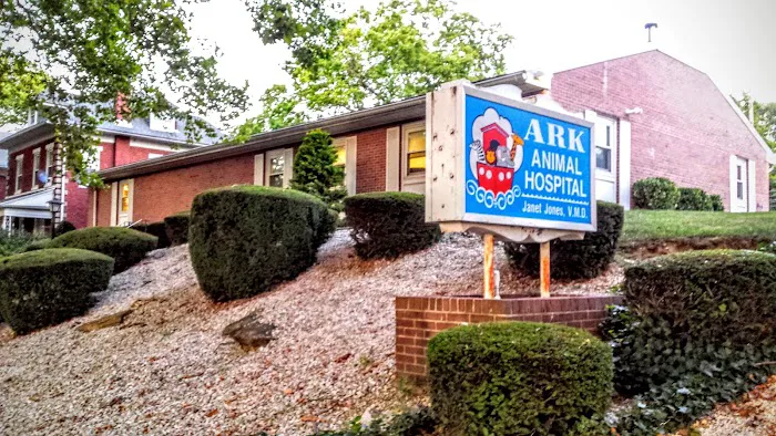 Ark Animal Hospital 12