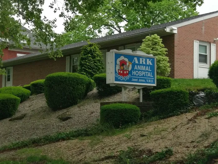 Ark Animal Hospital 12