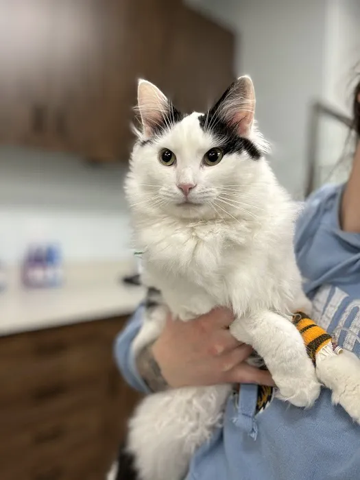 PetHealth UrgentCare - Wyomissing 12