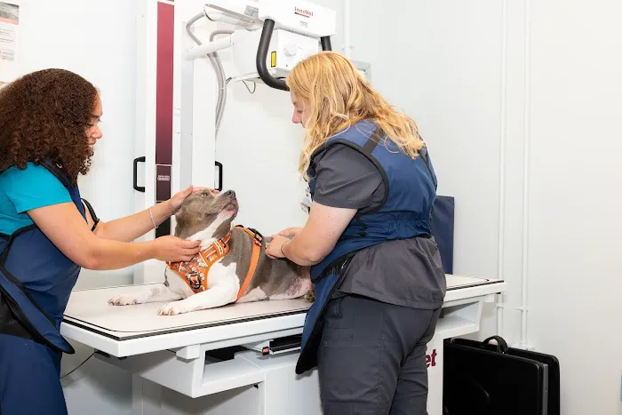 PetHealth UrgentCare - Wyomissing 12