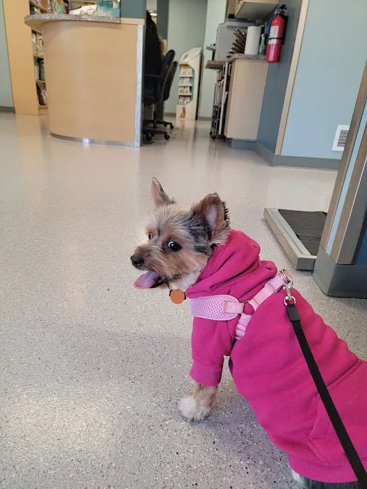 Larkin Veterinary Center 12