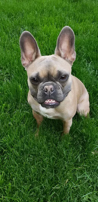 Larkin Veterinary Center 12