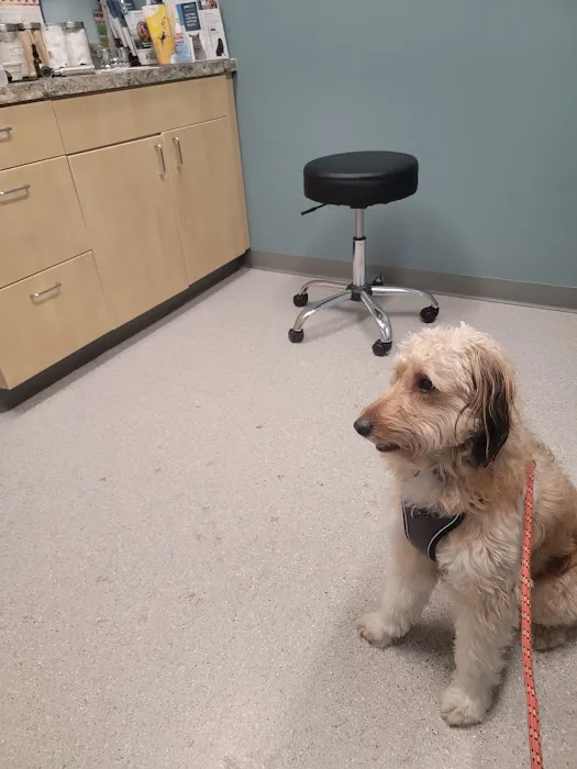 Larkin Veterinary Center 12