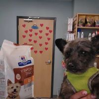 Larkin Veterinary Center ico