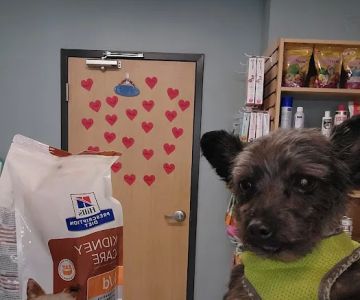 Larkin Veterinary Center