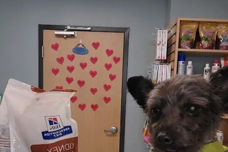 Larkin Veterinary Center