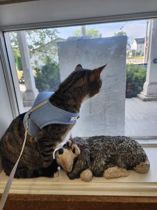 Brownstown Animal Hospital 12