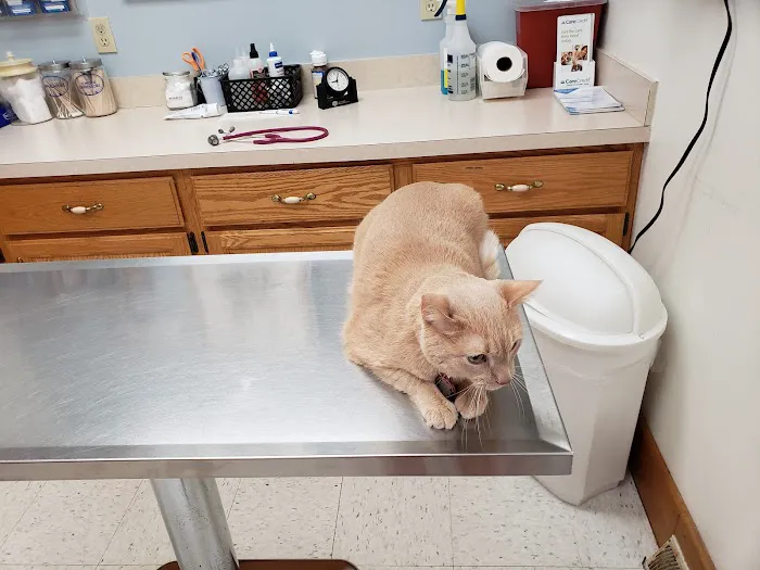Brownstown Animal Hospital 12