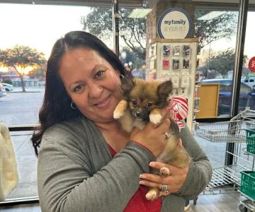 Petland McKinney