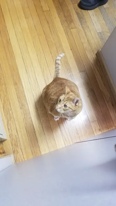 Metro Pet Vet Leola 1