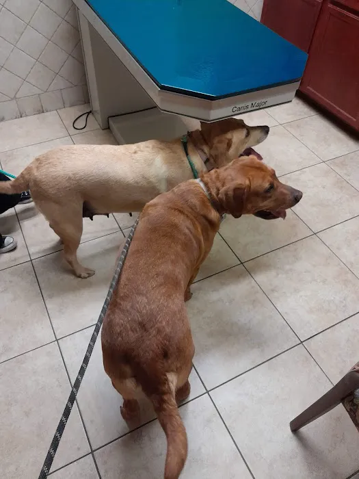 The Cocalico Cat & Gingham Dog Animal Hospital 1