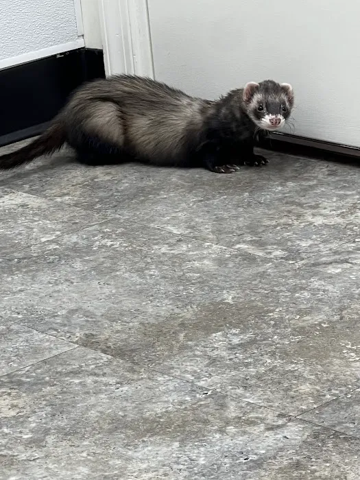 Basin Run Animal Hospital 12