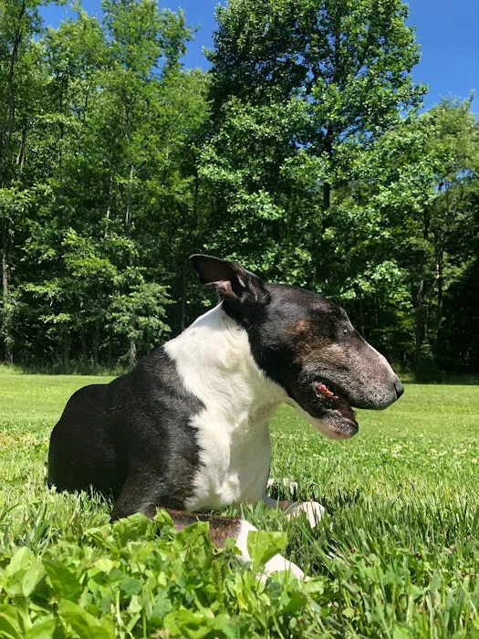 Basin Run Animal Hospital 12