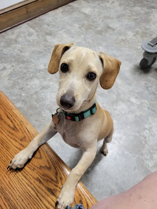 Basin Run Animal Hospital 12